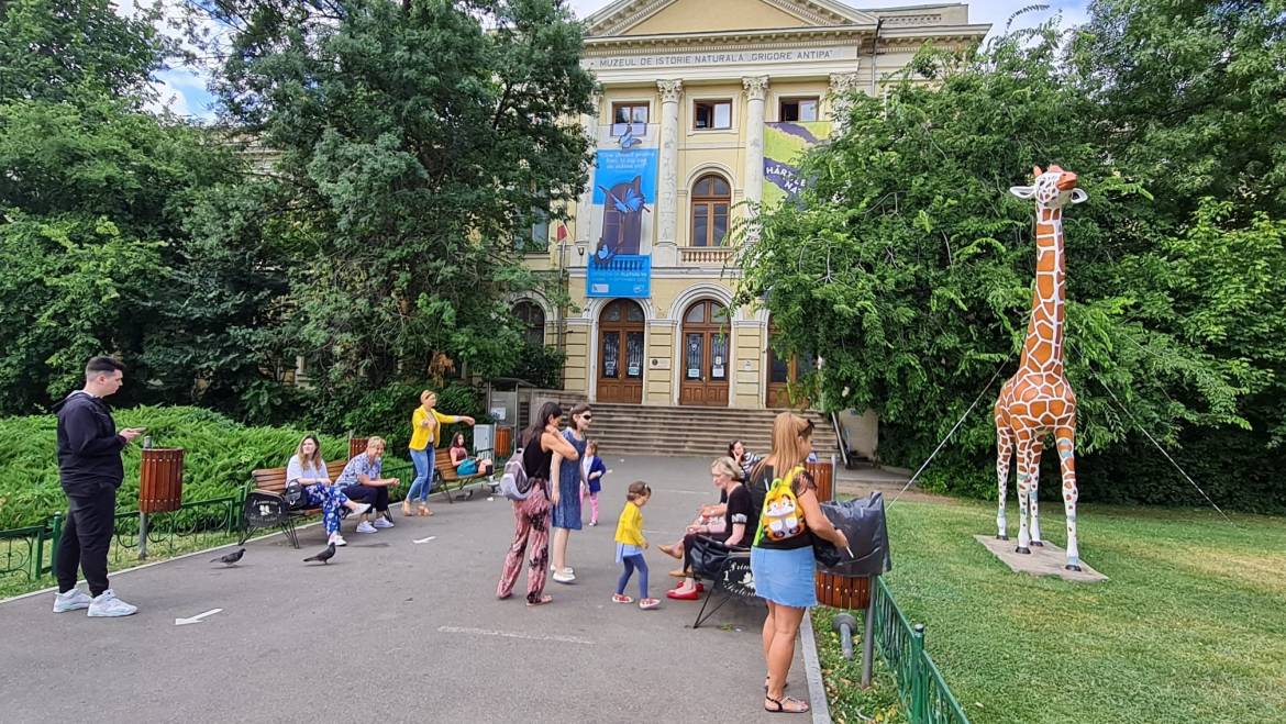 Vizită la expoziția de fluturi de la Muzeul Antipa