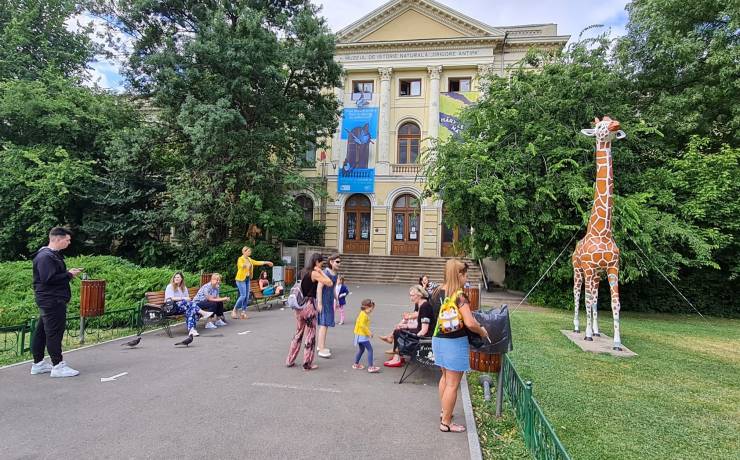 Vizită la expoziția de fluturi de la Muzeul Antipa