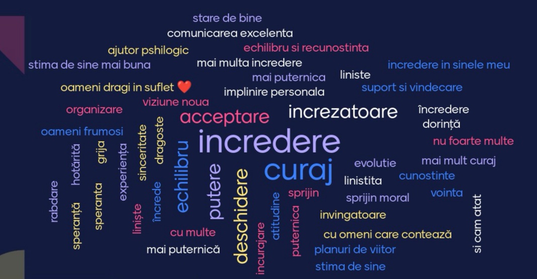 D.G.A.S.P.C. Sector 2 – plasă de siguranță pentru persoanele afectate de violență domestică la nivel local