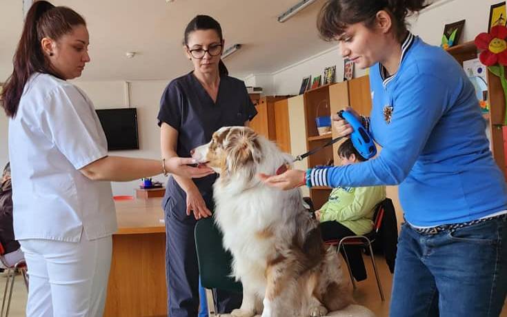DOGTORS – Terapie și educație asistată de câine pentru persoanele cu dizabilități neuropsihiatrice